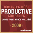 Romanias Most Productive Companies - Large Sales Force Analysis