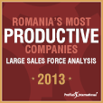 Romania's Most Productive Companies 2013