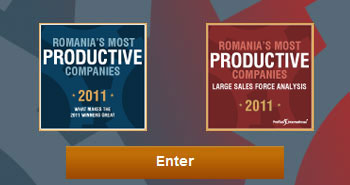 Romania's most productive companies 2011